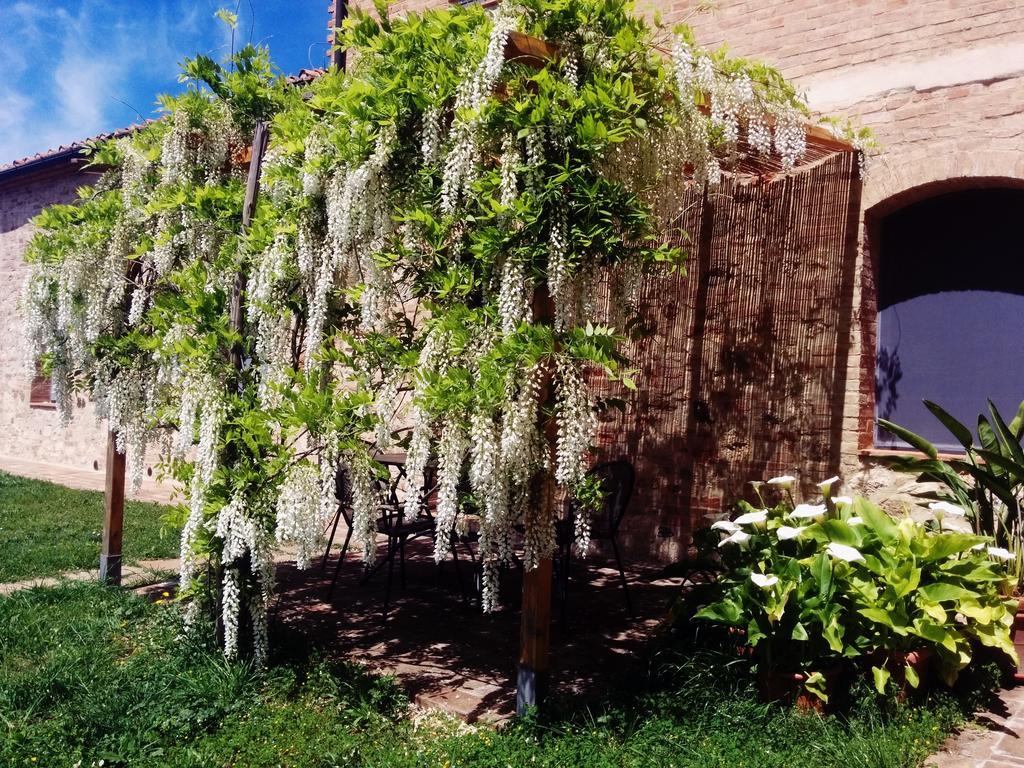 La Fornace Di San Galgano Frosini Exterior foto