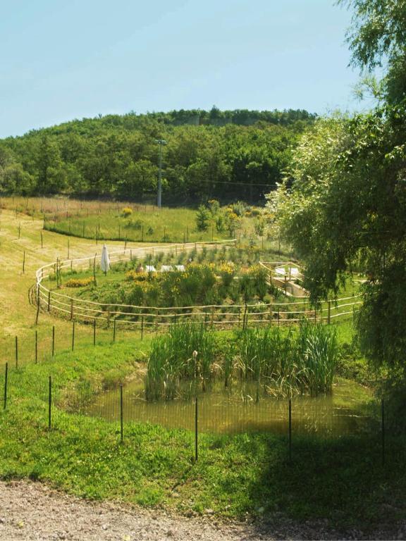 La Fornace Di San Galgano Frosini Exterior foto